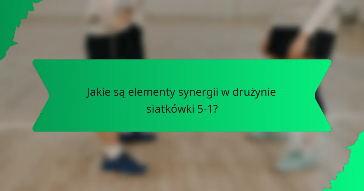 Jakie są elementy synergii w drużynie siatkówki 5-1?